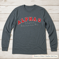 Arched Varsity Lettering Long-Sleeve Tee. Shown in: Gildan • Heather Dark Gray.